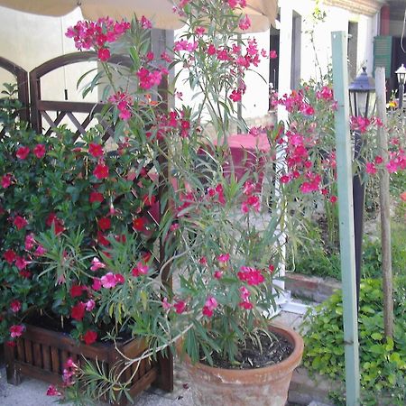 La Chicca B&B Cassine Exterior photo